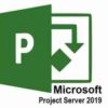 Project Server 2019