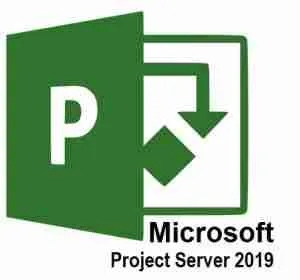 Project Server 2019