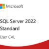 SQL Server 2022 1 User CAL