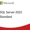 SQL Server 2022 Standard Edition
