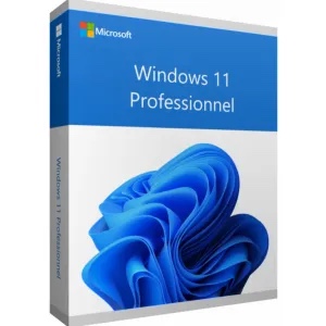 Win 11 Pro 64Bit French 1pk DSP OEI DVD